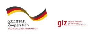 Giz